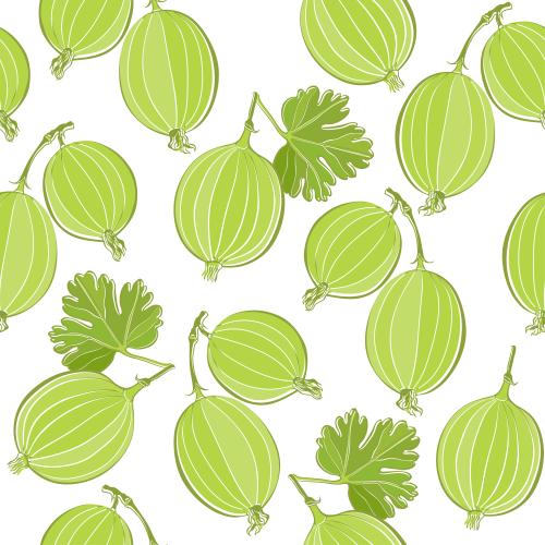 Berry. Vector currant berries on white