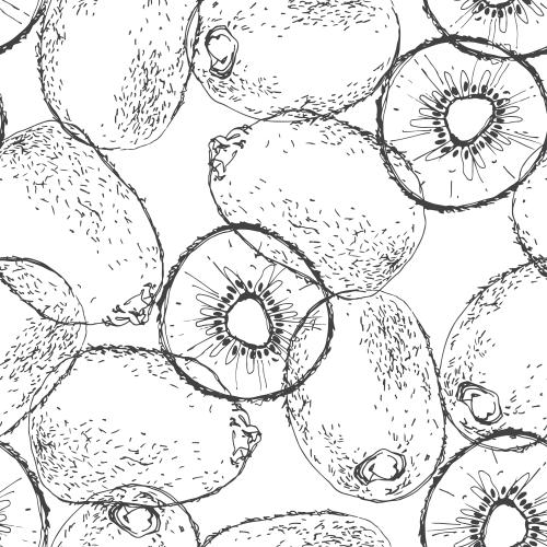 Vector image kiwi on white