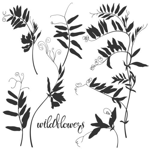 Vector image field flower, black silhouettes on white