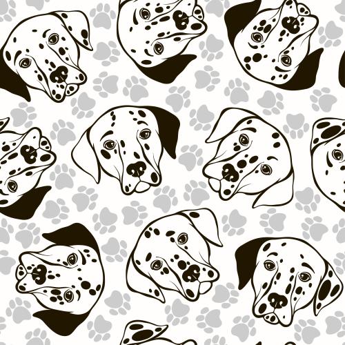 Dolmatian. Vector cute dalmatian faces, paw prints on white