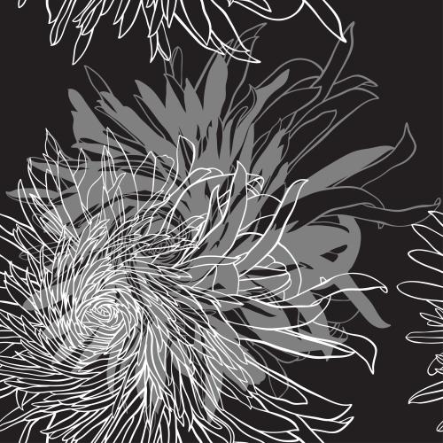 Chrysanthemum. Vector chrysanthemums on black