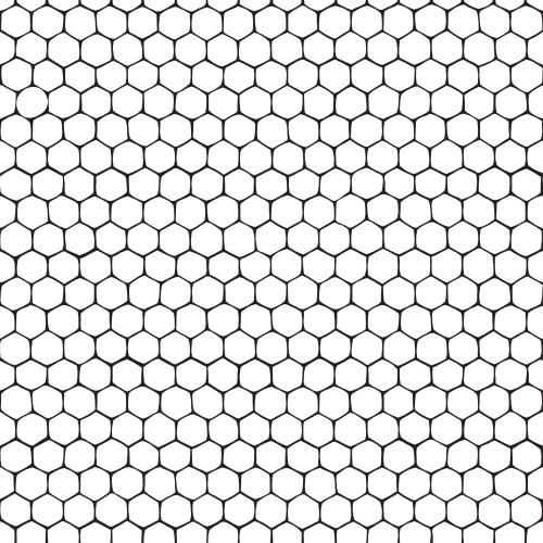Black-white. Vector honeycombs black contours on white