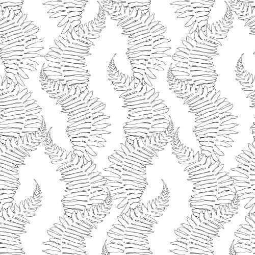 Fern. Vector fern leaves on white