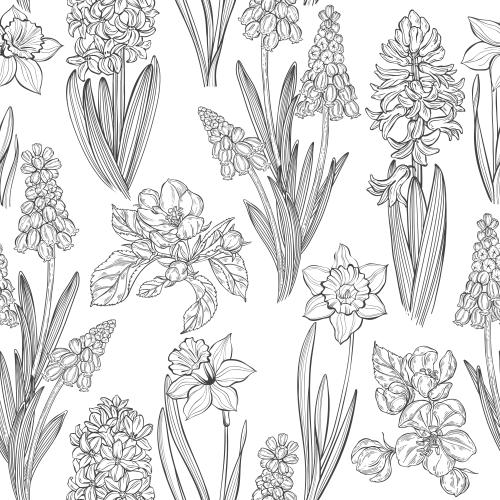 Apple tree. Vector spring flowers: muscaris, hyacinths, daffodils and apple blossoms on white