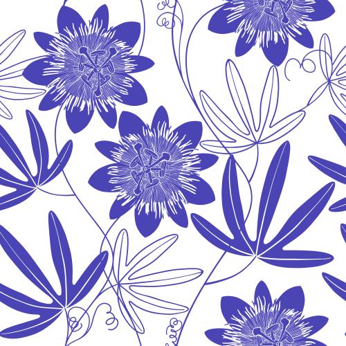 Passionflower. Vector passionflower flowers and leaves purple silhouettes and outlines on white