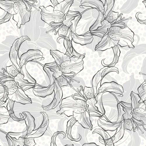 Pea. Vector lilies silhouettes and contours on white checkered