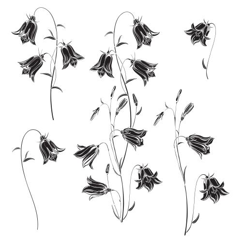 Vector image bells, black silhouettes of flowers on white