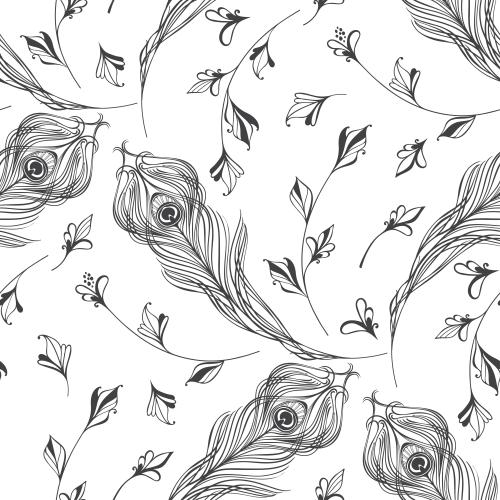 Feather. Vector peacock feathers, decorative botanical elements on white