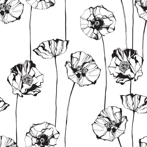 Poppy. Vector poppies black outlines on white