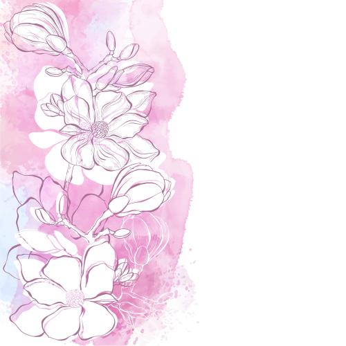 Bud. Vector magnolia, contours and silhouettes on watercolor, space for text on white