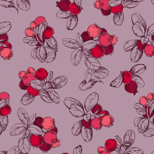Vector image cranberry branches with red berries on a pastel-colored
