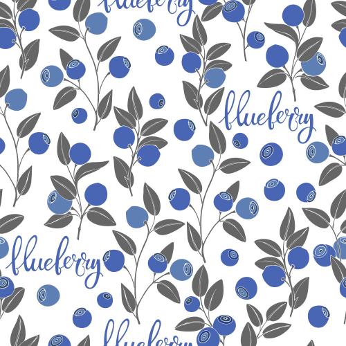 Bilberry. Vector blueberry branches with berries blueberry inscriptions on white