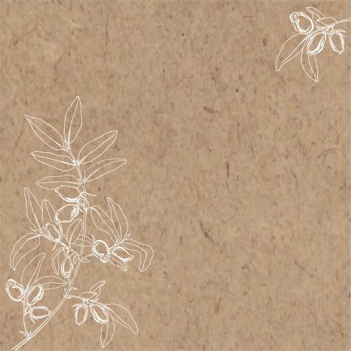 Honeysuckle. Vector jessamine, branches with berries, text area on craft, corner composition