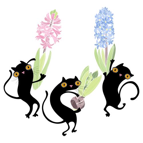 Hyacinth. Vector three cartoon cats with hyacinths