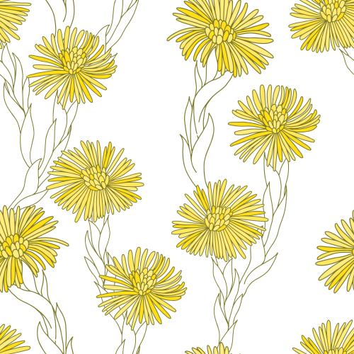 Coltsfoot. Vector flowers mother-and-stepmother on white