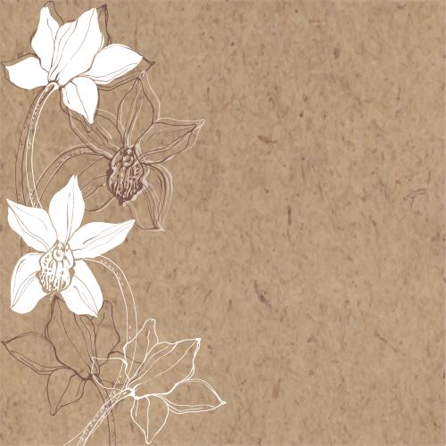 Orchid. Vector orchids place for text on craft