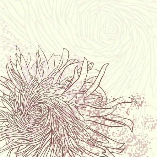 Chrysanthemum. Vector chrysanthemums, textured element and place for text