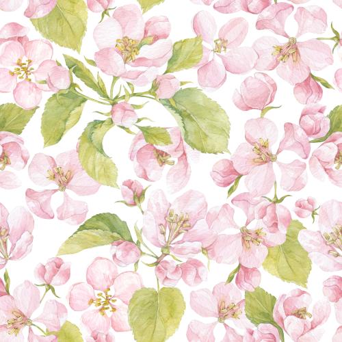 Raster image watercolor apple tree flowers on white