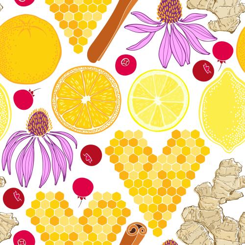 Cranberry. Vector echinacea flowers honeycomb hearts ginger orange lemon cranberry cinnamon stick on white
