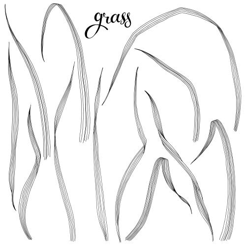 Illustration grass on white