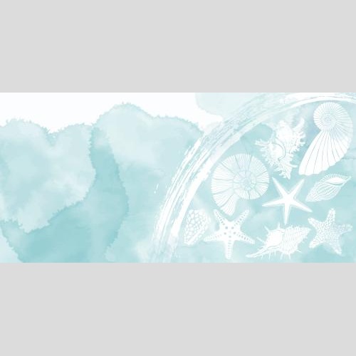 Female. Vector postcard with a marine theme featuring sea stars shells nautiluses wave and a text area on blue watercolor