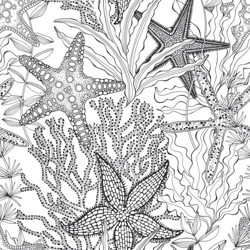 Illustration sea stars, coral, algae on white