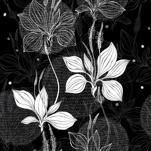 Pea. Vector plantain white outlines and silhouettes monochrome lace circles on black