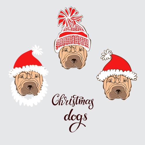 Dog. Vector shar pei, three cute faces in new year's hats