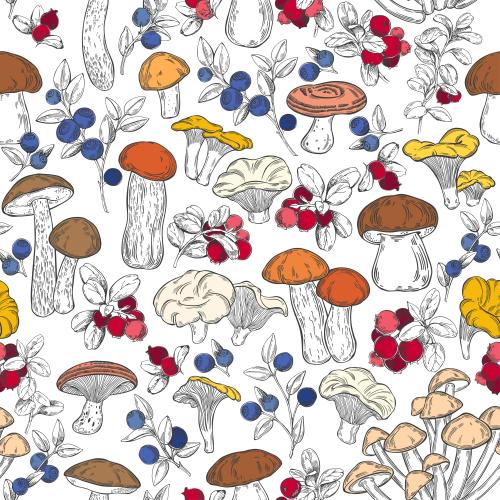 Vector image white mushrooms, birch boletes, chanterelles, boletus, oyster mushrooms, saffron boletes, and blueberry and cranberry branches