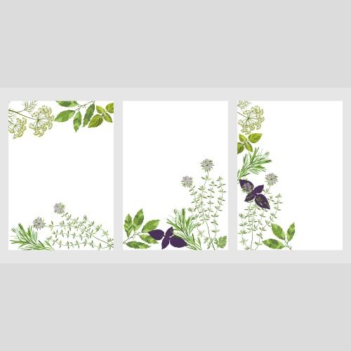 Vector image three postcards with aromatic culinary herbs on white