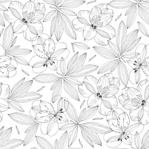 Alstroemeria. Vector alstromeria, flowers and leaves on white