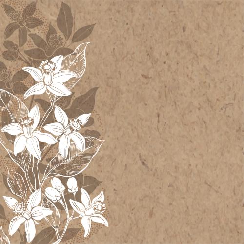 Orange. Vector flowers neroli stylized oranges place for text on craft