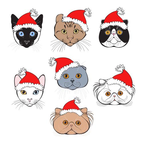Vector image cute cat faces of different breeds in christmas hats on white