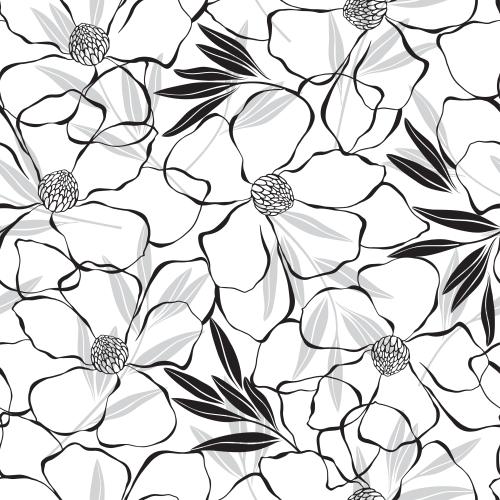 Magnolia. Vector magnolia flowers and leaves on white