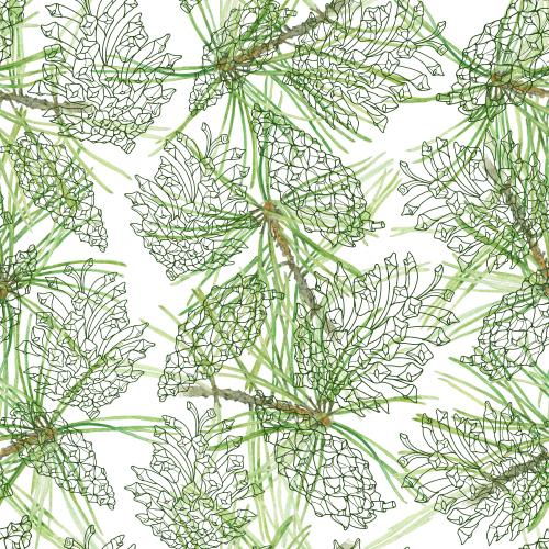 Raster image watercolor pine branches and cone contours on white