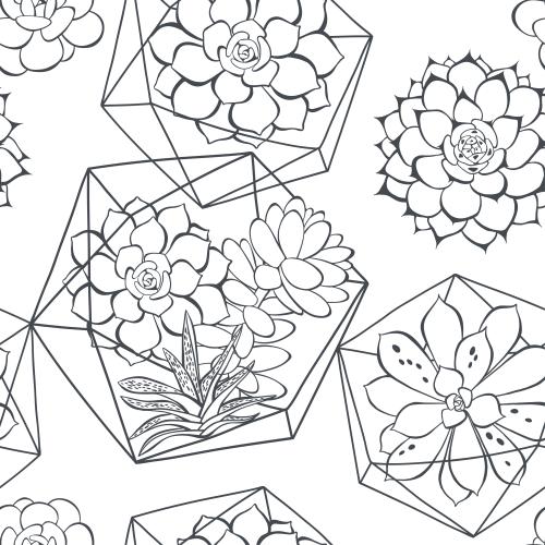 Succulent. Vector succulents in a florarium and without, black contours on white