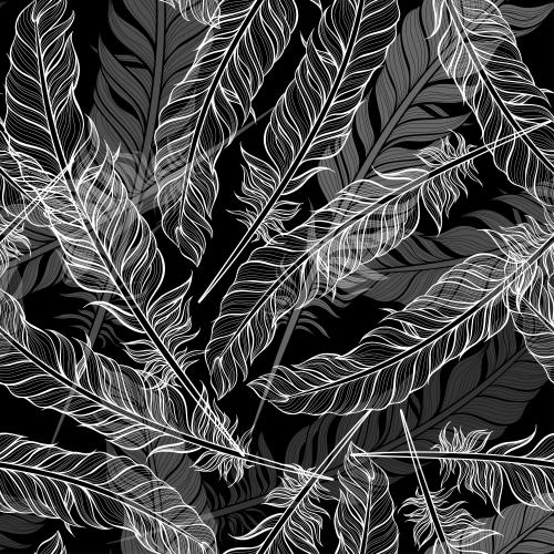 Feather. Vector feathers silhouettes and contours on black