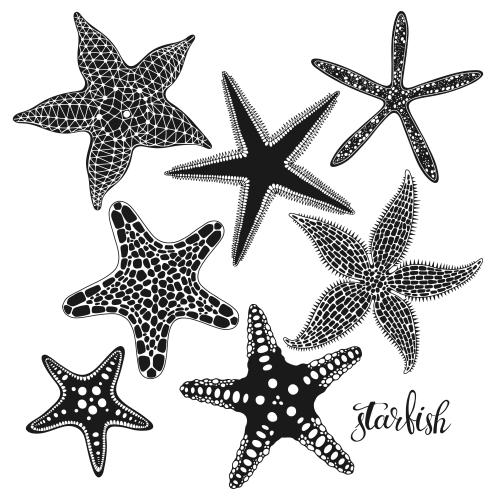 Vector image sea stars on white, seven silhouettes