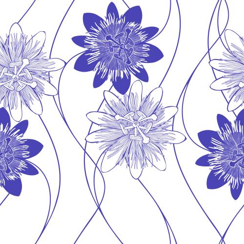 Passionflower. Vector passionflower, purple silhouettes and contours on white
