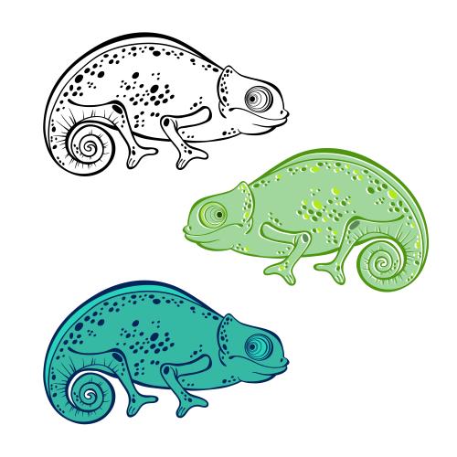 Chameleon. Vector cute cartoon chameleons three different options on white