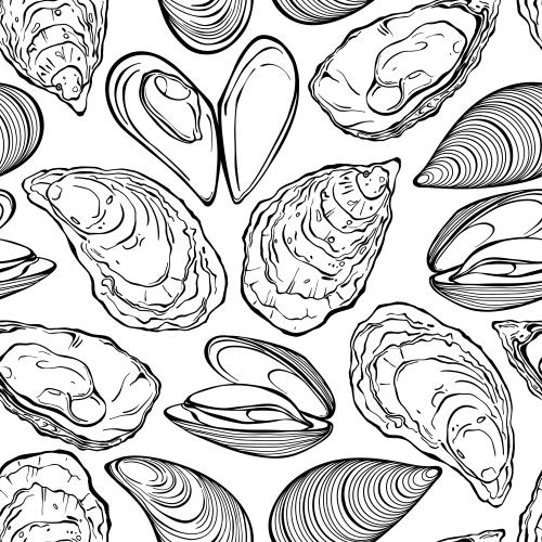Mussel. Vector oysters and mussels on white