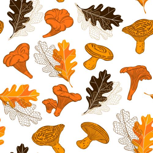 Illustration mushrooms chanterelles boletus oak leaves on white