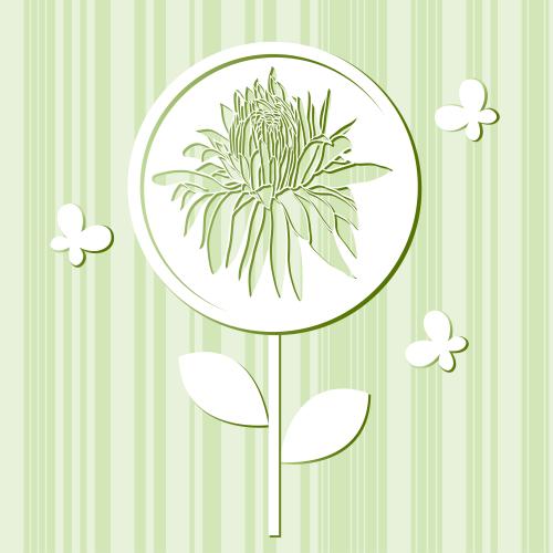 Chrysanthemum. Vector flower chrysanthemum and butterflies in flat style