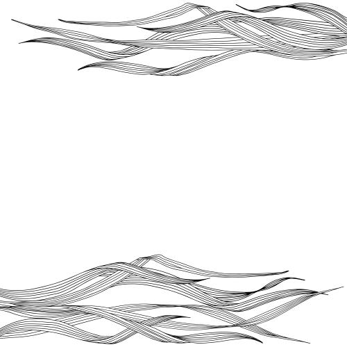 Illustration grass place for text on white