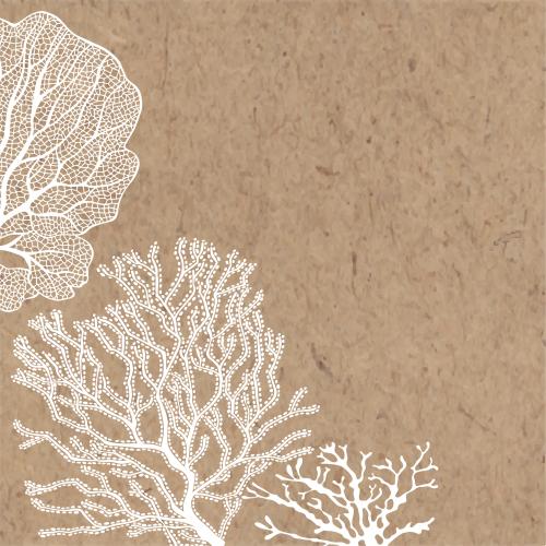 Illustration coral place for text on craft