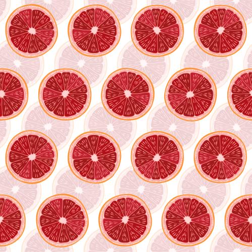 Fruit. Vector slices grapefruit on white