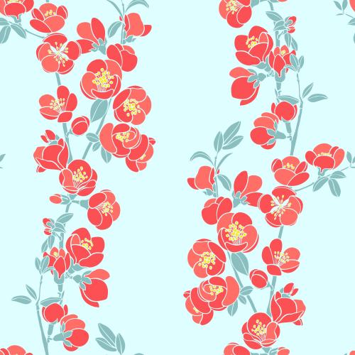 Japanese quince. Vector japanese loquat, branches with flowers on blue