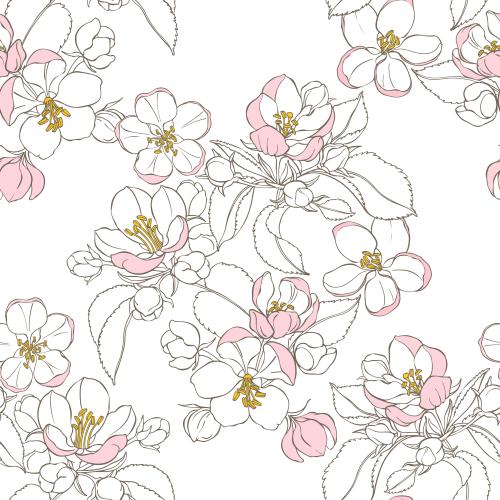 Apple tree. Vector apple tree flowers on white