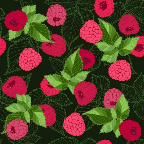 Vector image bright raspberries with leaves on dark green