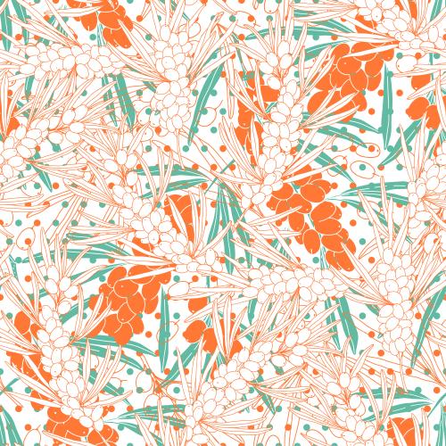 Pea. Vector sea buckthorn, branches with berries on white in a multicolored checkered pattern